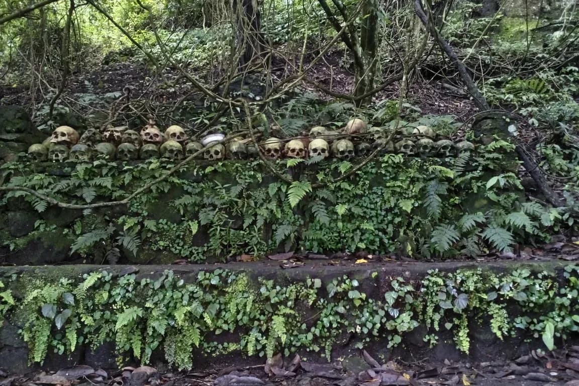 Trunyan cemetery