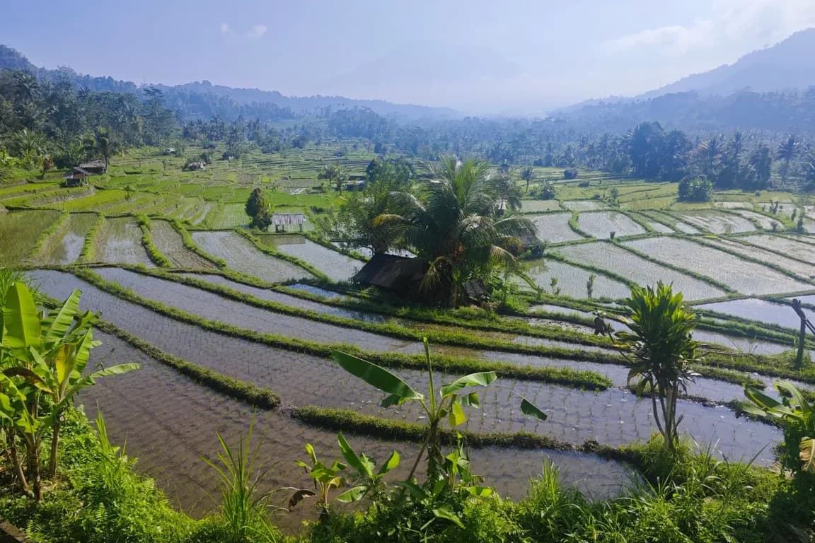 Sidemen Rice Terraces