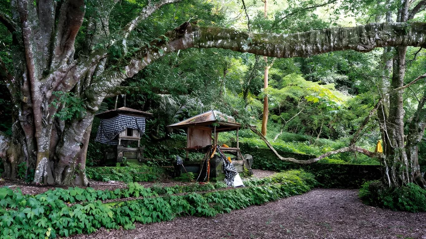 Trunyan: The Legacy of Indigenous Balinese