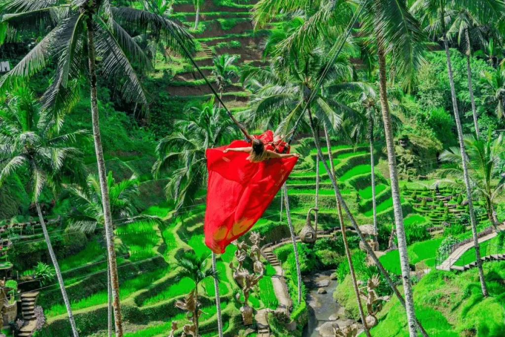 Swing attraction at Alas Harum