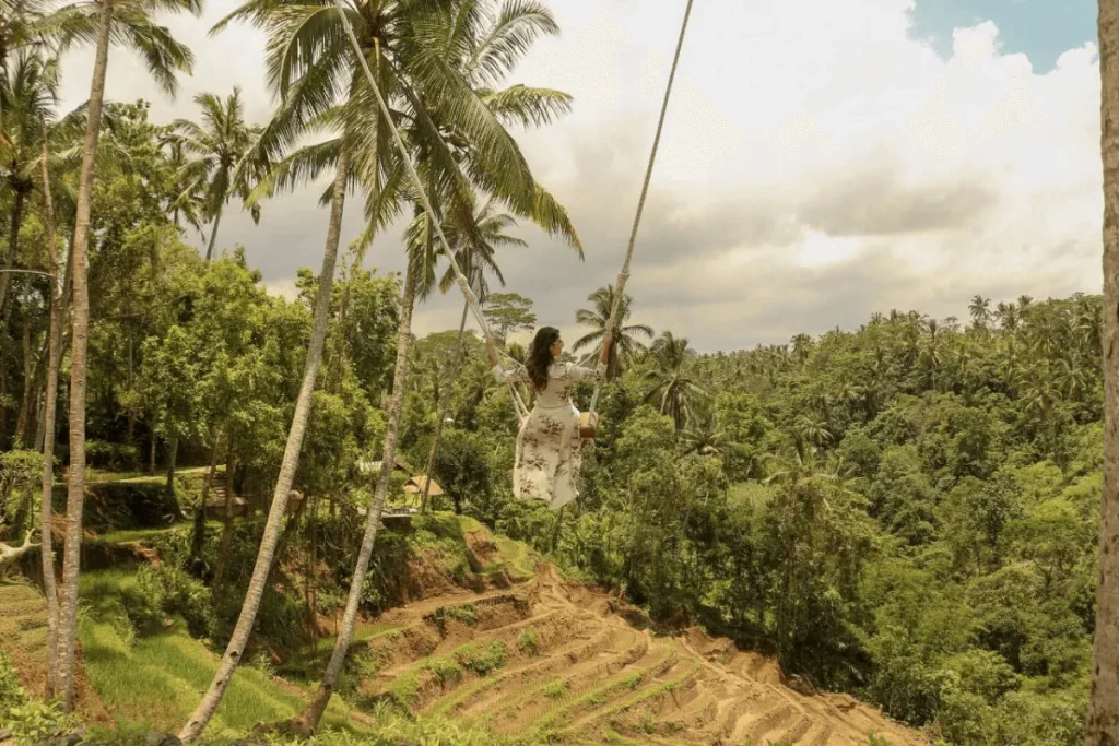 Swing activities at Aloha Ubud Swing